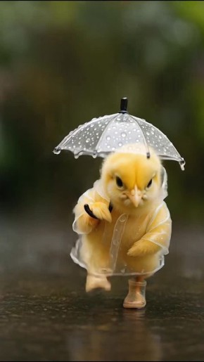 ����� � ������ ���� ������� ������������� � �������� � � ����� ��������� ������, ����� 5 �������� ������