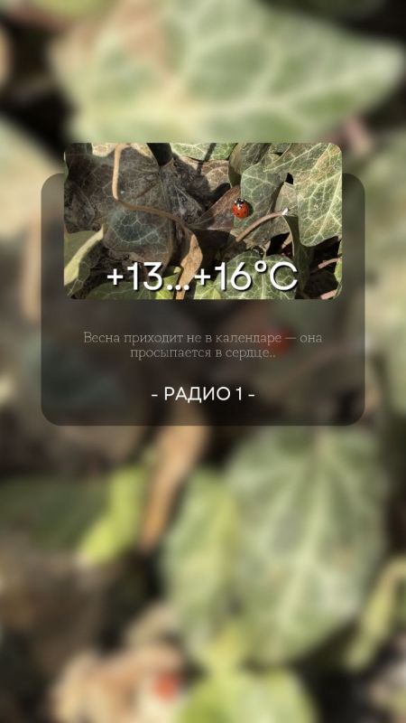 13 ����� ��������� ���������� ����������, ��� �������