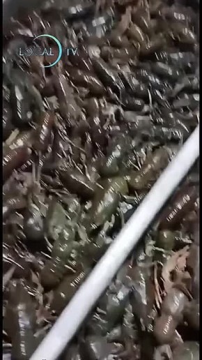 ������� �����-���-���� �������: � ���� �������� �����, ������� ������� ���������� �� ����� � ��������� ��������� �������� �� �������