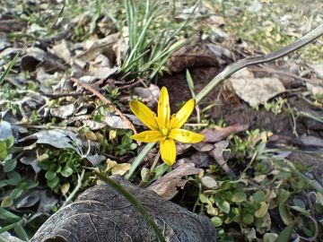 16 марта ожидается переменная облачность, без осадков