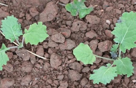 �� ��������������� ������, � ���������������� ������ ������������� ������ ������� ������� ����� �� ������� 817 ��������