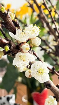 ������� �������� ������������ � ���� �� ��������