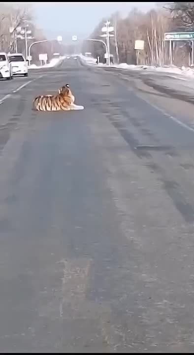 ���� �������� ������ � ����������� ����