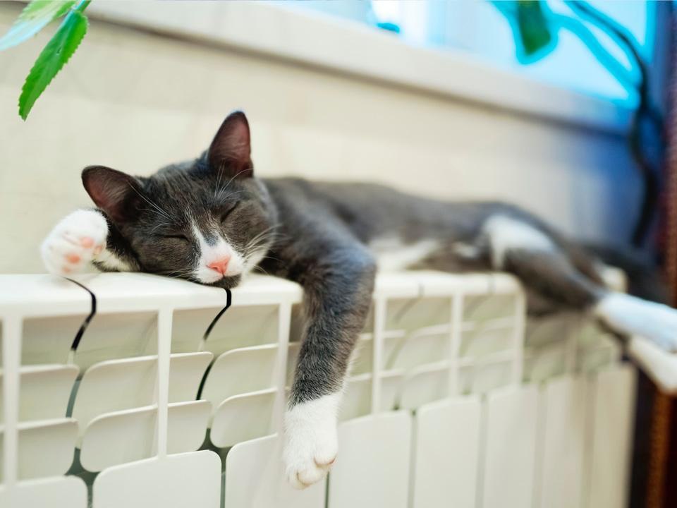 Тепло в дома вернётся к середине недели