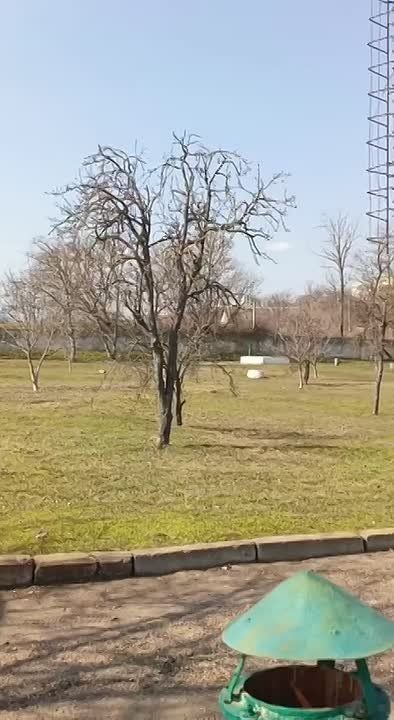 �� ������������� ���� ���� �� ������������ �������