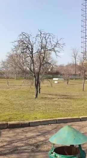 �� ������������� ���� ���� �� ������������ �������