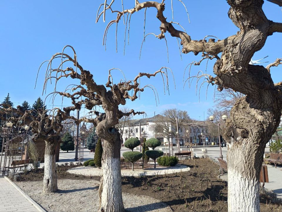 ������ ������ � �������������� ����� � ����� � ��������� ��������� ����� ����