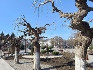 ������ ������ � �������������� ����� � ����� � ��������� ��������� ����� ����