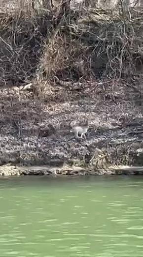 ������ �������� � ������ ������� ���� ���������