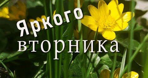 17 марта – чудесный весенний день