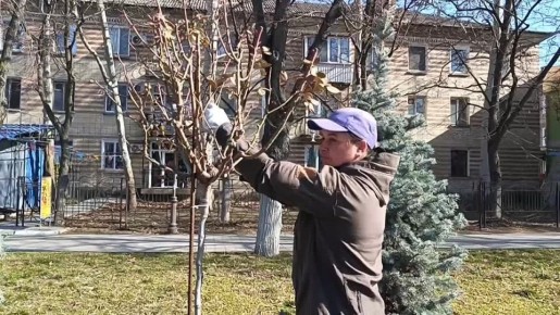 � ��� ��������� ����� �������. ��� � �������������� ����� ������� ��� ������� �������� �� ������������, ��� � �� ������ ������� ������� ������� ������� ����� ������