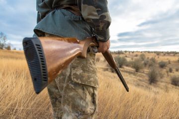 ��������� ����� ������ ��������� � �� ���, ������������ ��������������� �� ���������� ����� � �������