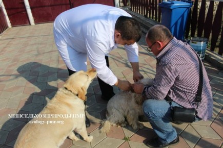 В Приднестровье пройдет месячник по профилактике бешенства