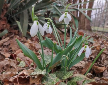 ������� ����!. ������� ������ �� �������, 18 �����