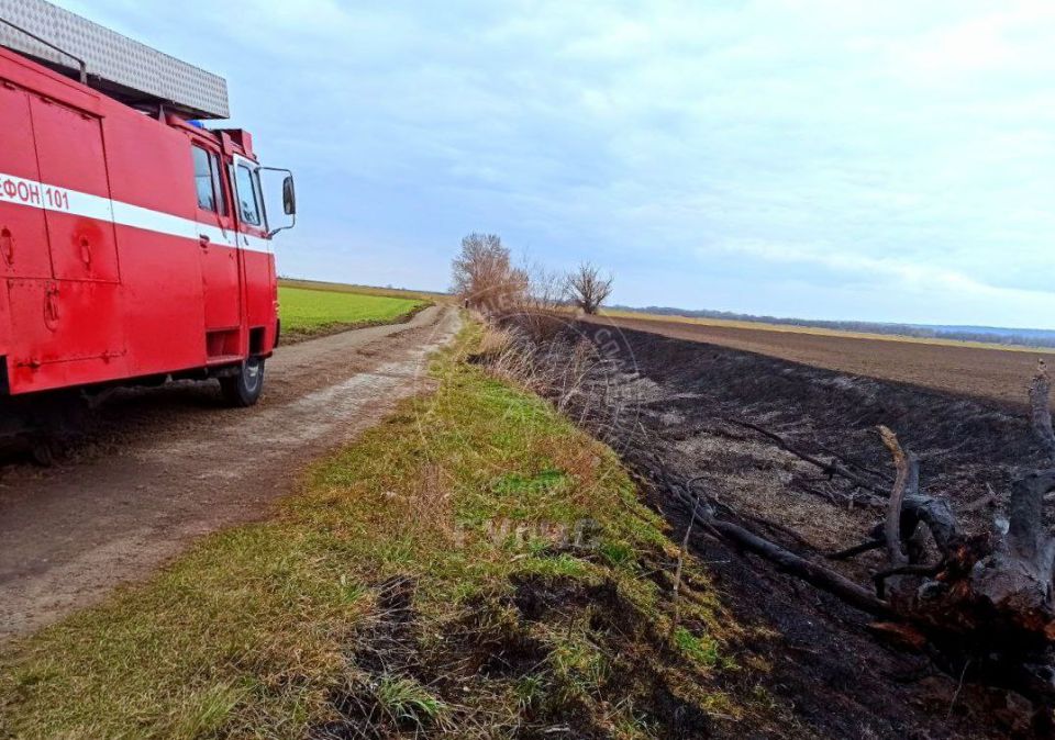 Вчера пожарные из Слободзеи и Григориополя тушили камыш и сухостой общей площадью более трёх гектаров