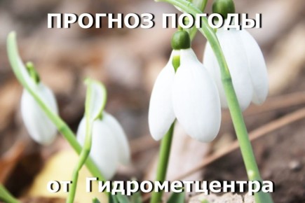 ������� ����!. ������� ������ �� �������, 19 �����