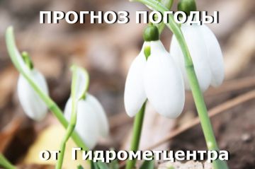 ������� ����!. ������� ������ �� �������, 19 �����