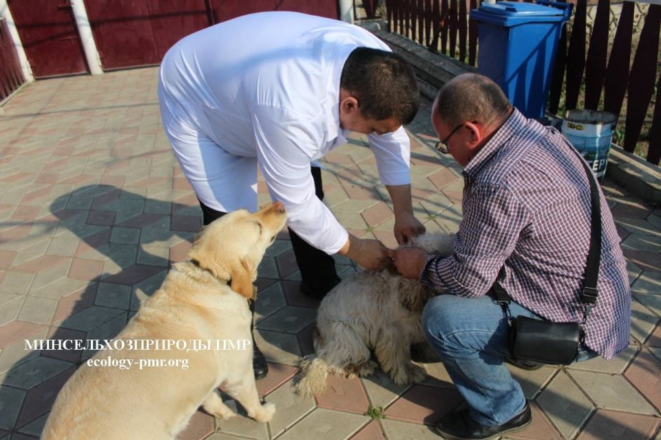 � ������������� � 1 ������ ������� �������� �� ������������ ���������