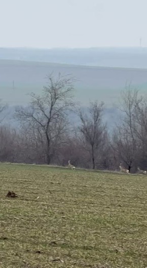 ��� ��������� ����� ����� ������