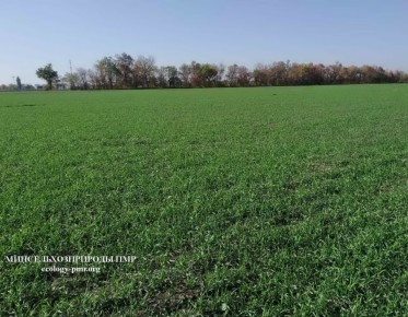 Оперативная информация территориальных управлений Минсельхозприроды ПМР