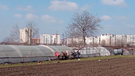 Сотрудники НИИ обновляют теплицы, натягивают плёнку — готовятся к новому сезону