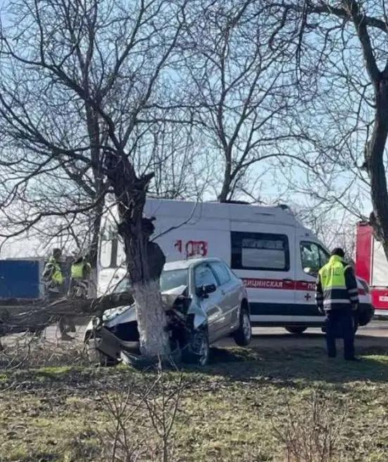 Машина врезалась в дерево в Карагаше
