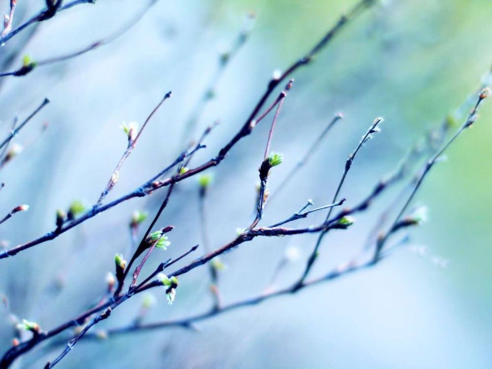 ���� ��� ������: � ������������� ������������� �������� ��������