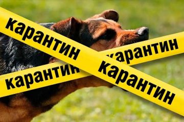 �������� �� ��������� ����� �� ��� ������ � ���� ����� ���������� ������