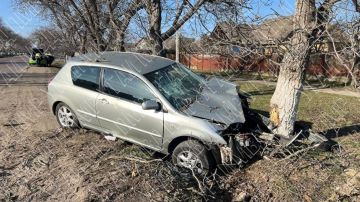 � �������� 71-������ ����������� �� ���������� � ����������� � ��������� � ������