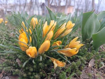 21 марта ожидается переменная облачность без существенных осадков