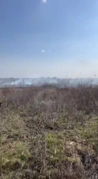 Вот так вчера днём в Незавертайловке горел камыш вдоль осушительного канала