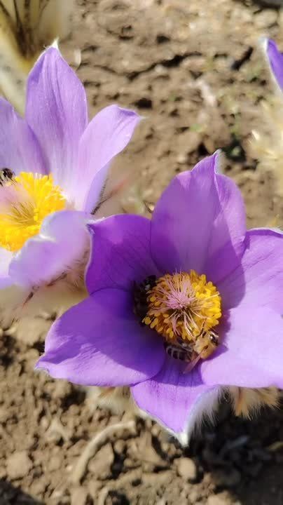 ������ ������� ����� � ������ �������� ����� ������������ � ��������������� ������������ ����