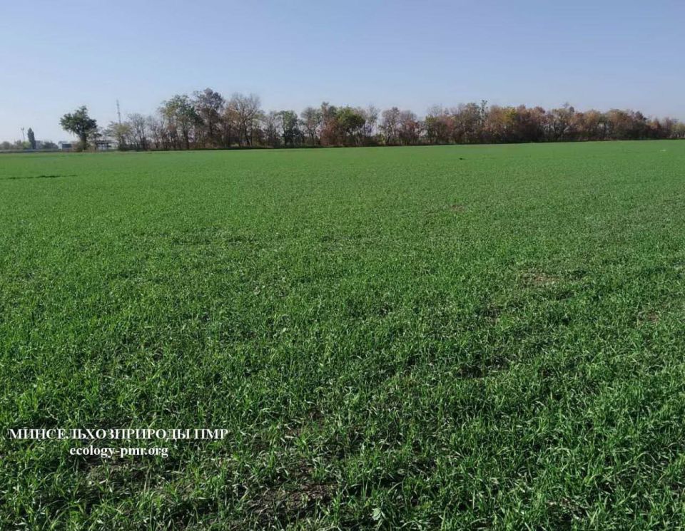 ��������������� ������� �������� � ����������� �������, � �������� ������� �����, �� ��������� ��������