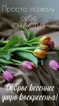 22 ����� - ���� �������� ��������