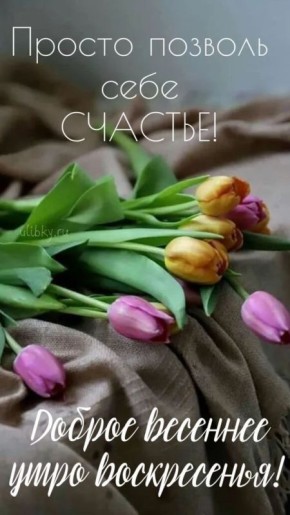 22 ����� - ���� �������� ��������