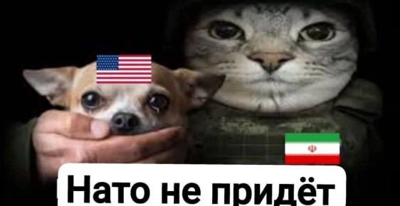 ����� �� ������, ������ ���� �����