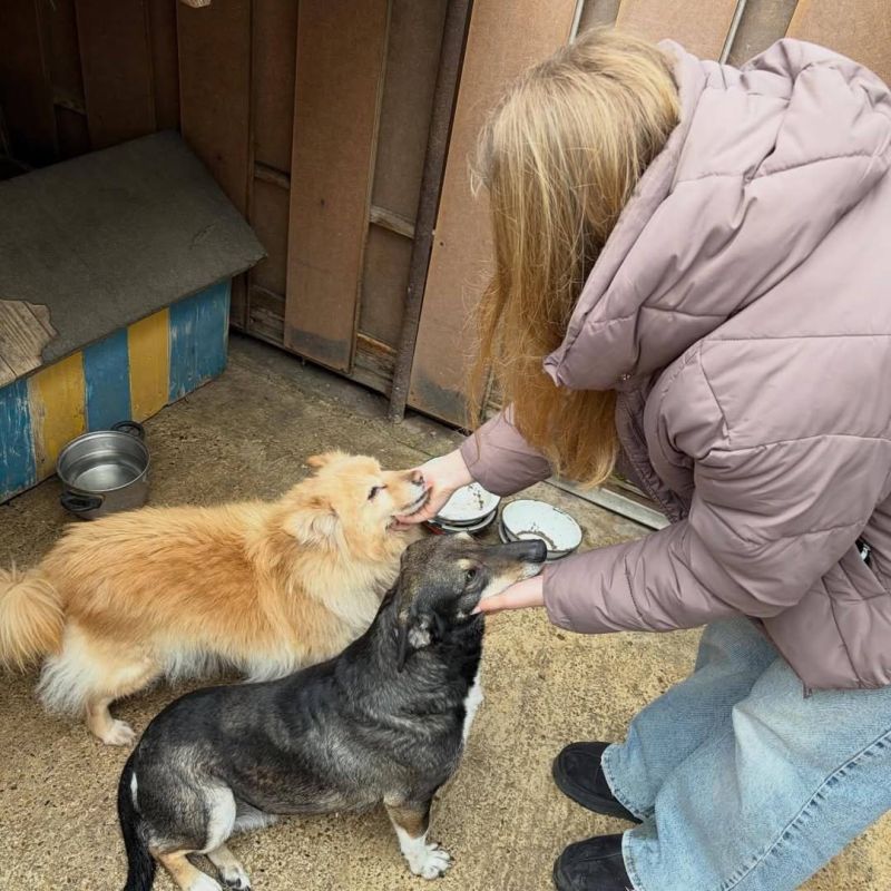 ��������� ����������� �������� ������� �������� � ��������� ����� 200 �� ����� � ����� ������ ����� �� ��� ������