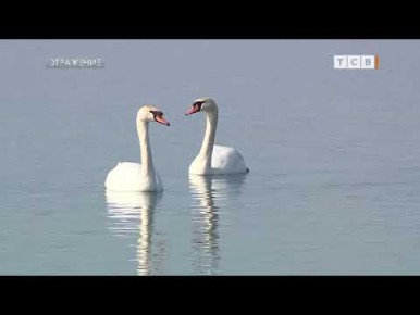 В Молдове вторую неделю развивается история с нефтяным пятном в Днестре