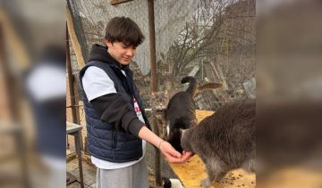 Активисты Молодежного движения «Звезда» помогли столичному приюту для животных