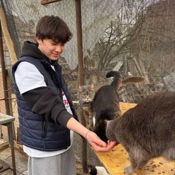 Активисты молодежного движения «Звезда» оказали помощь приюту для животных «Zooterra»