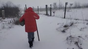 Сегодня день работника гидрометеорологической службы ПМР