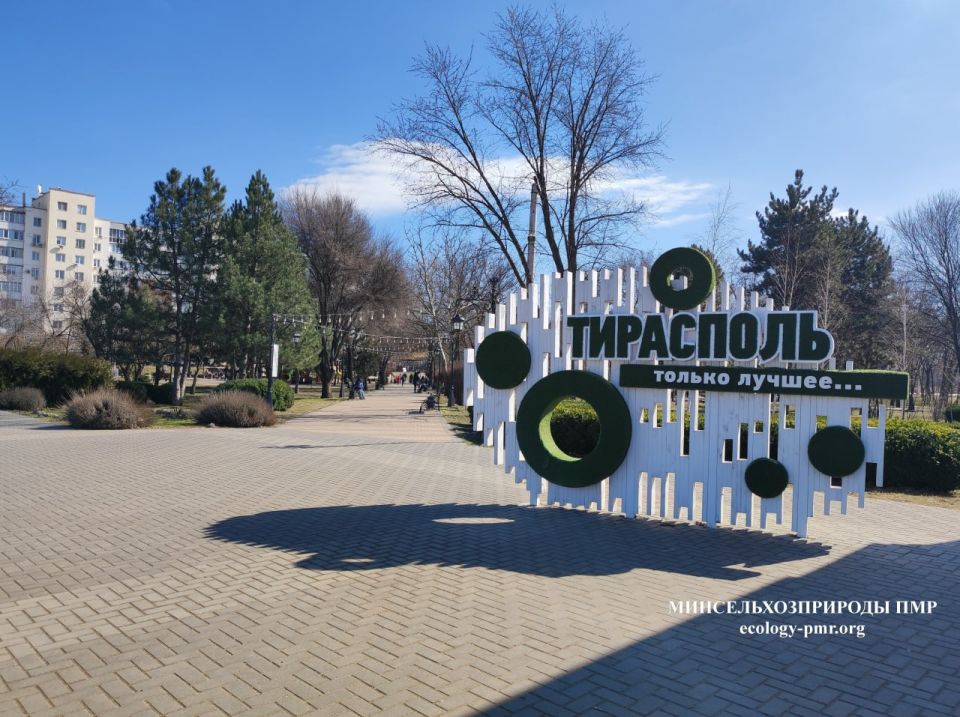 ������� ����!. ������� ������ �� �������, 23 �����