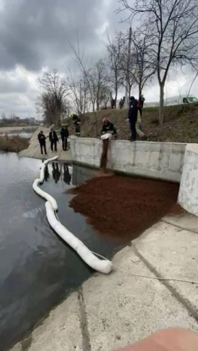 Власти Кишинёва до сих пор не могут выяснить, как в реку Бык попали нефтепродукты и каков объём загрязнения