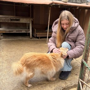 200 килограммов корма привезли активисты молодежного движения «Звезда» приюту для животных «Zooterra» в Тирасполе