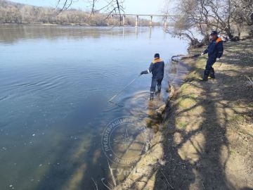 �������� �� �������. � ������ ���� ����������� ��������� ���������� ���� �������� ������