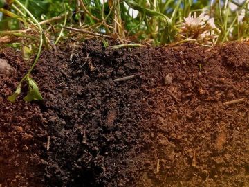 �������� ��������, ��� � ����� �� ����� �����, �� �����������