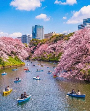 ������ �� ����� �������� ������ �������� ������ ����������