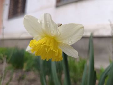 25 ����� ��������� ���������� ����������, ��� �������