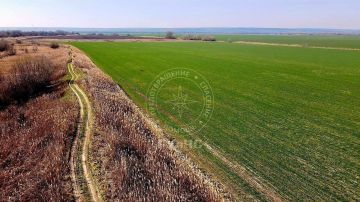 В Приднестровье продолжается проверка дамб и гидросооружений