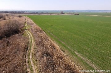 Обследование дамб в Слободзейском районе завершено